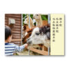 句型擴展延伸卡(真人照)語言、句型、ABA：圖片 4
