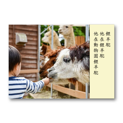 句型擴展延伸卡(真人照)語言、句型、ABA：圖片 4