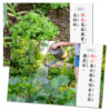 因果關係句型練習|溝通表達、邏輯思考、生活技能：圖片 2