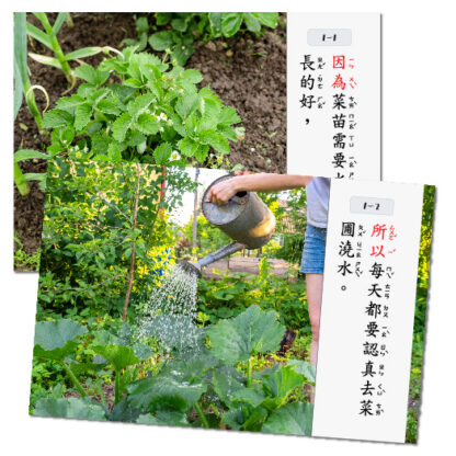 因果關係句型練習|溝通表達、邏輯思考、生活技能：圖片 2