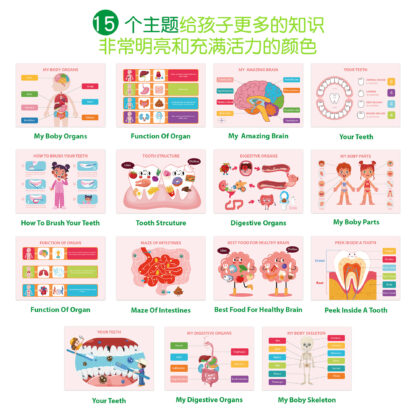 兒童忙碌書 | 幼兒學前教育 | 認識身體結構 | 認知早教安靜書：圖片 3