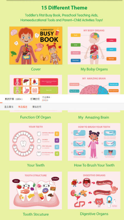 兒童忙碌書 | 幼兒學前教育 | 認識身體結構 | 認知早教安靜書：圖片 9