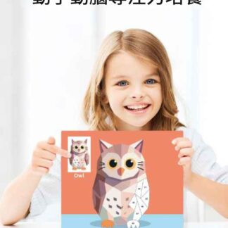 3D兒童多圖案幾何拼圖貼紙組 |色彩豐富訓練手眼協調力｜幼兒動腦專注力啟蒙遊戲｜鍛煉精細動作教具